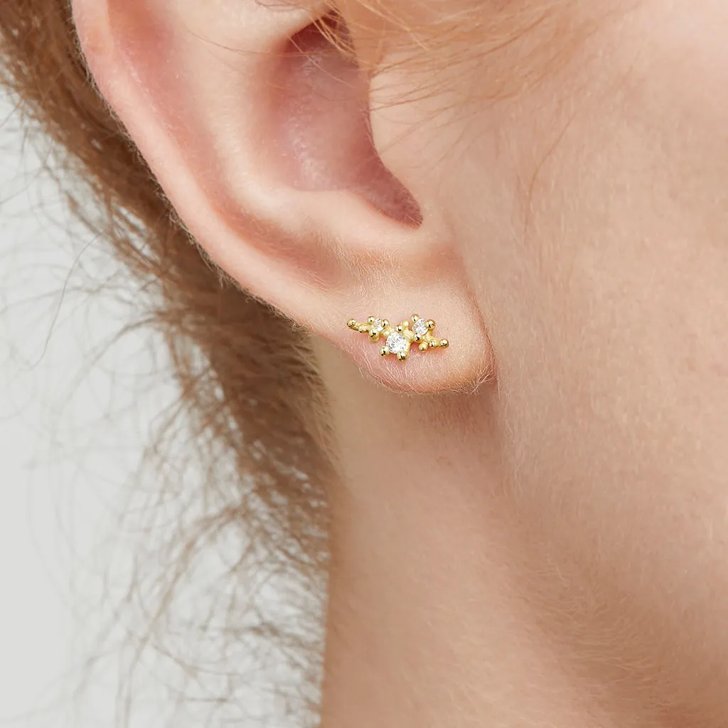 Diamond Encrusted Studs