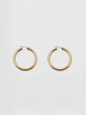 Large Tru Hoops