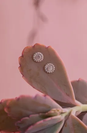 Sunflower Studs